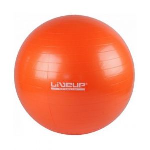 Фитбол Liveup Gym Ball 55См арт. LS3221-55o